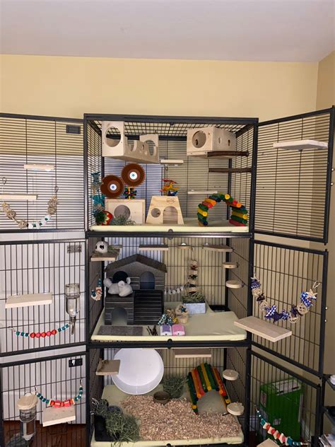 chinchilla metal box|The 6 Best Chinchilla Cages of 2024 .